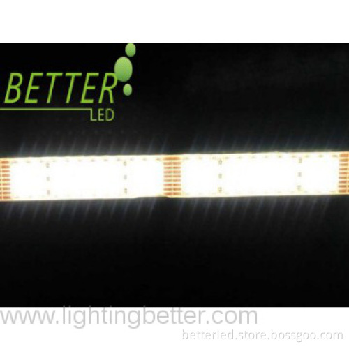Double-row 3528 DIY flexible strip with high brightness of IP65